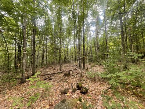 R6L38B New Vineyard Road New Vineyard ME 04956