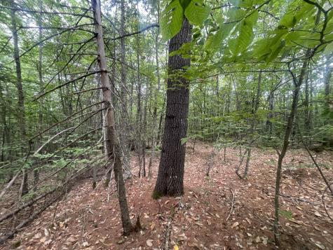 R6L38B New Vineyard Road New Vineyard ME 04956