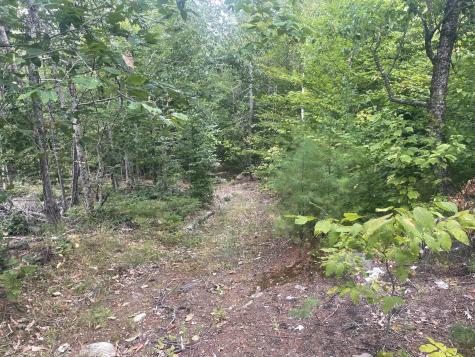 R6L38B New Vineyard Road New Vineyard ME 04956