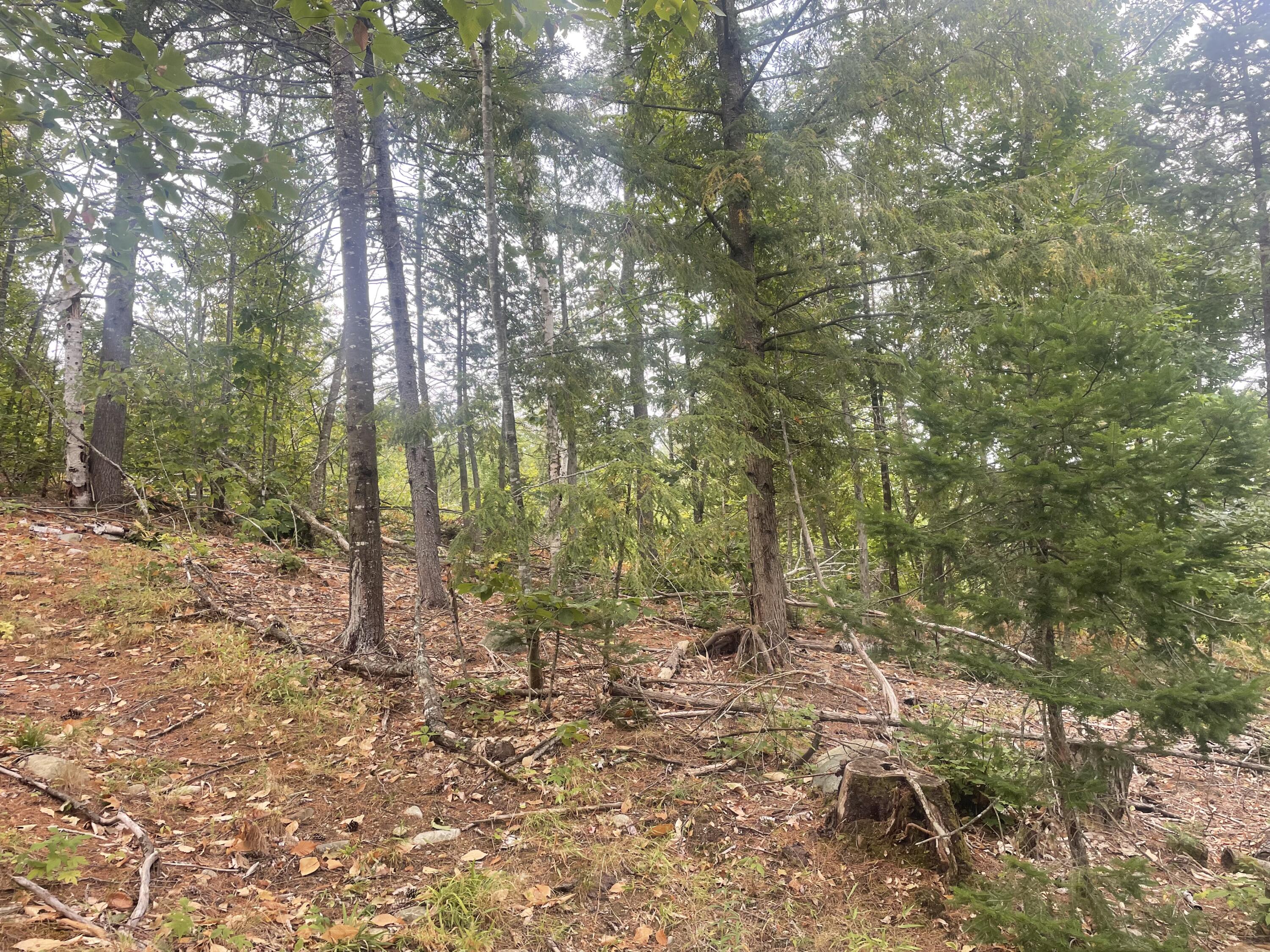 R6L38B New Vineyard Road New Vineyard ME 04956