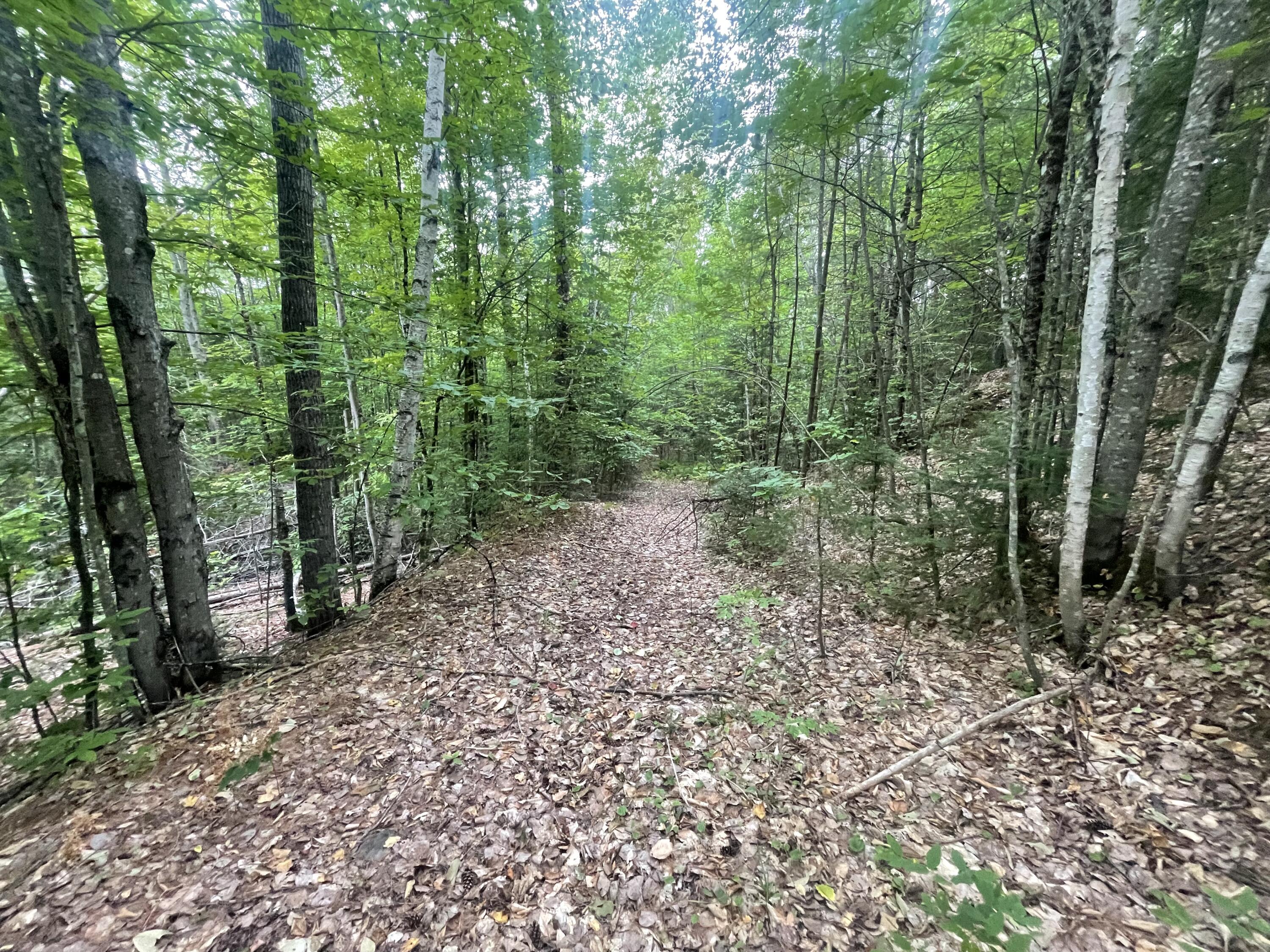 R6L38B New Vineyard Road New Vineyard ME 04956