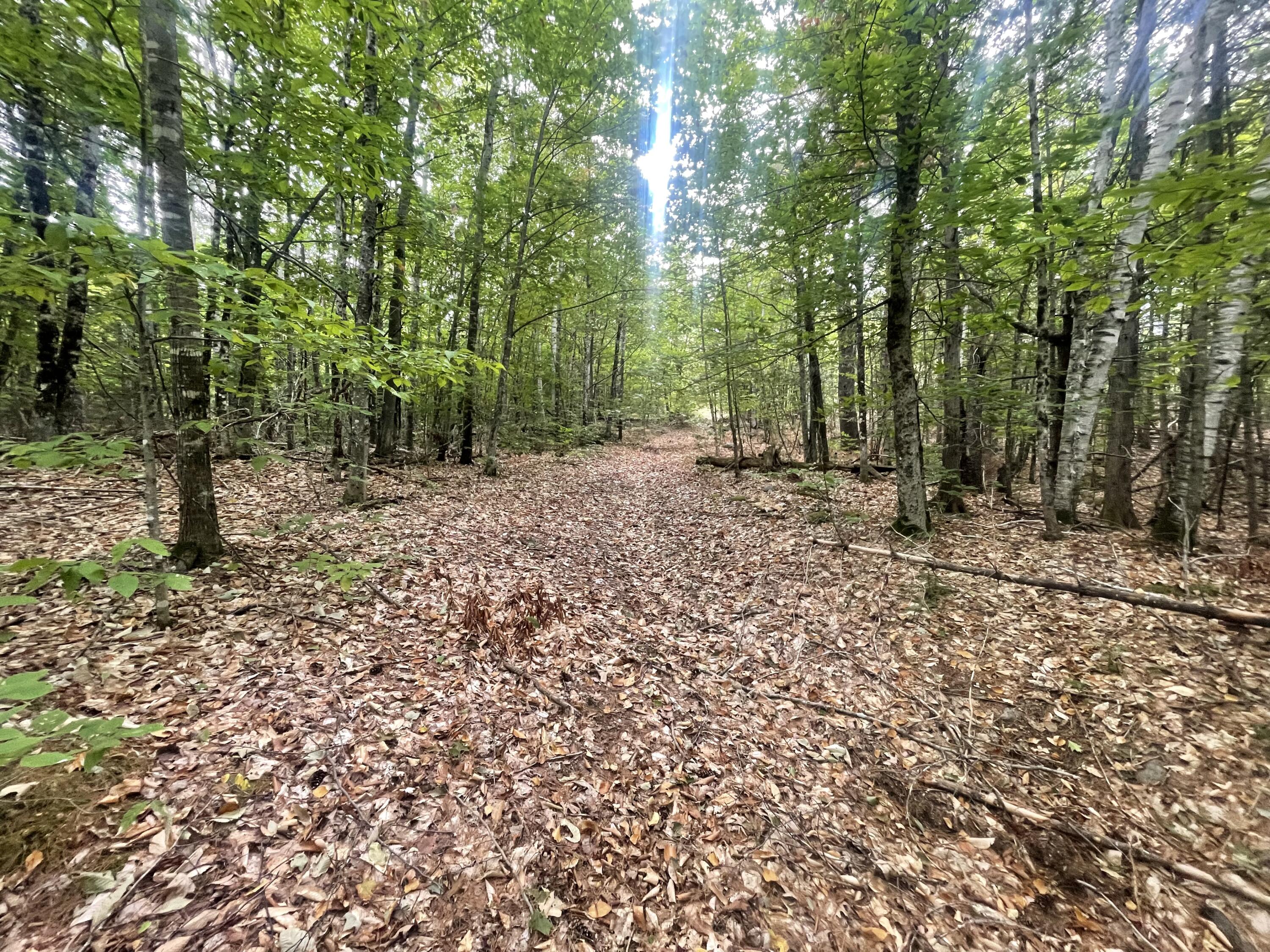 R6L38B New Vineyard Road New Vineyard ME 04956