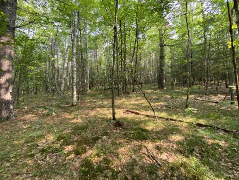 Lot 25 Owls Nest Road Shapleigh ME 04076