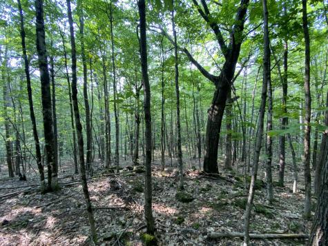 Lot 25 Owls Nest Road Shapleigh ME 04076