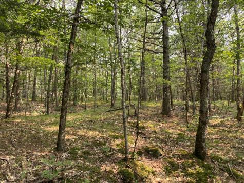 Lot 25 Owls Nest Road Shapleigh ME 04076