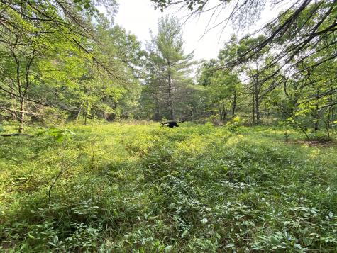 Lot 25 Owls Nest Road Shapleigh ME 04076
