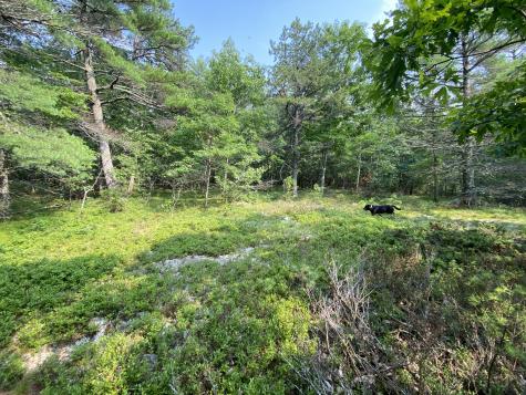 Lot 25 Owls Nest Road Shapleigh ME 04076