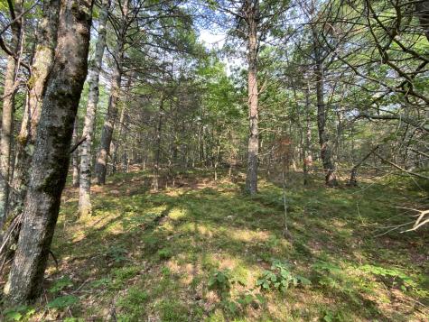 Lot 25 Owls Nest Road Shapleigh ME 04076