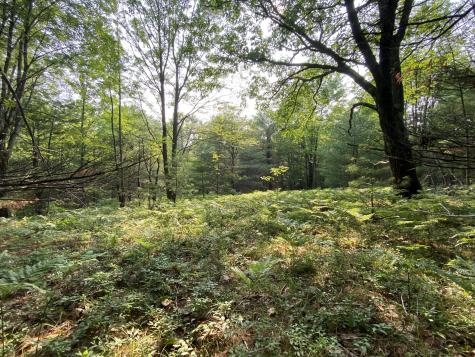Lot 25 Owls Nest Road Shapleigh ME 04076