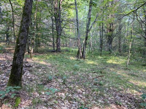 Lot 25 Owls Nest Road Shapleigh ME 04076