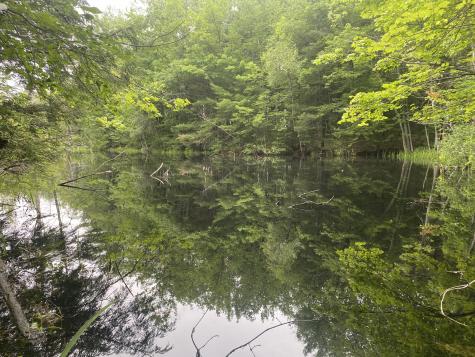 Lot 25 Owls Nest Road Shapleigh ME 04076