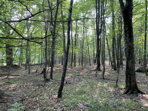 Lot 25 Owls Nest Road Shapleigh ME 04076