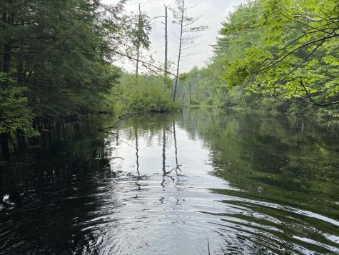 Lot 25 Owls Nest Road Shapleigh ME 04076