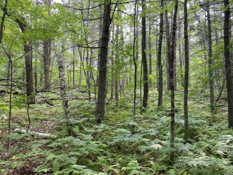 Lot 25 Owls Nest Road Shapleigh ME 04076