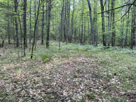 Lot 25 Owls Nest Road Shapleigh ME 04076