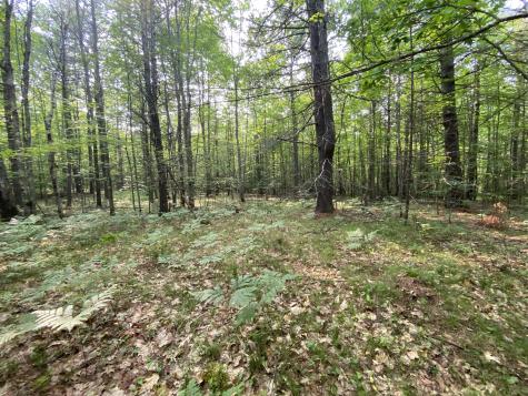 Lot 25 Owls Nest Road Shapleigh ME 04076