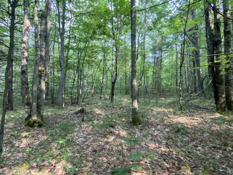 Lot 25 Owls Nest Road Shapleigh ME 04076