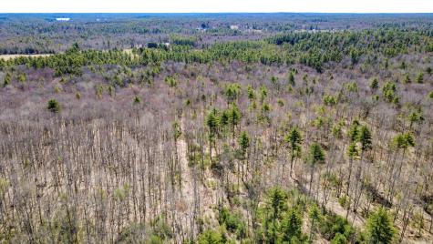 Map 007 Lot 038 Hollis ME 04042