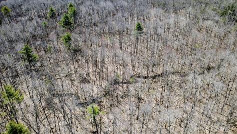 Map 007 Lot 038 Hollis ME 04042