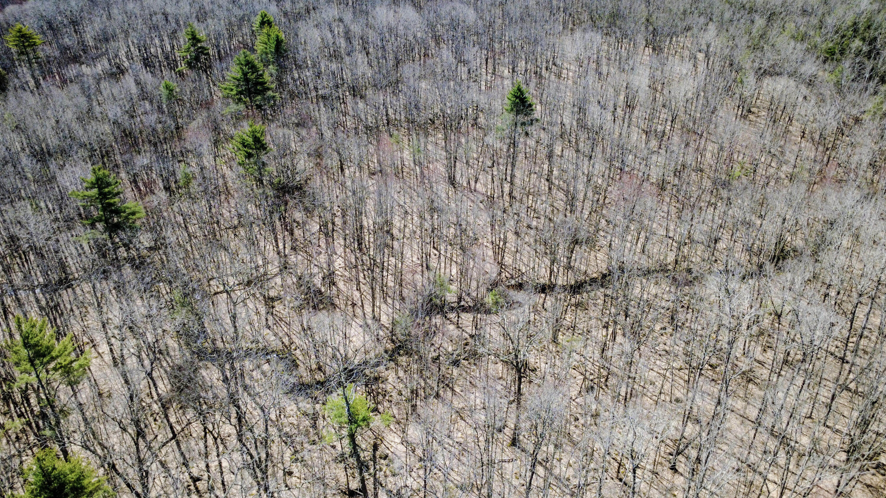 Map 007 Lot 038 Hollis ME 04042