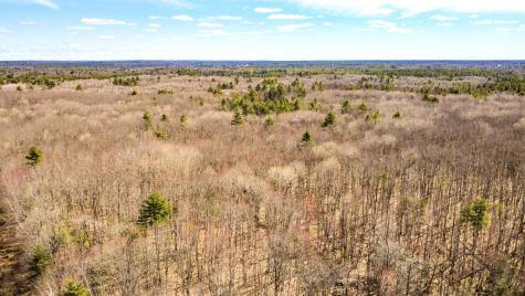 Map 007 Lot 038 Hollis ME 04042