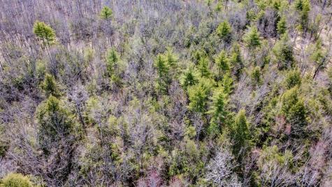 Map 007 Lot 038 Hollis ME 04042