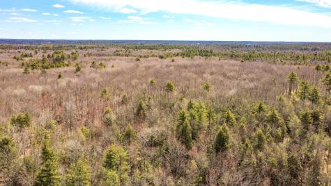 Map 007 Lot 038 Hollis ME 04042