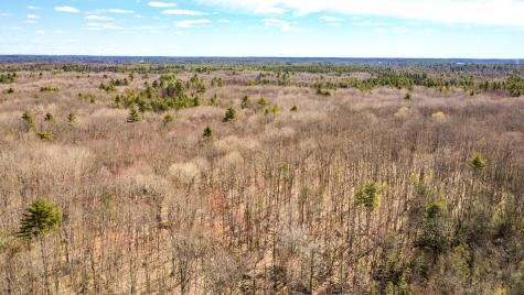 Map 007 Lot 038 Hollis ME 04042