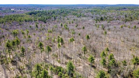 Map 007 Lot 038 Hollis ME 04042