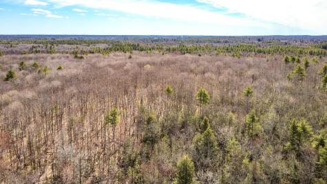 Map 007 Lot 038 Hollis ME 04042