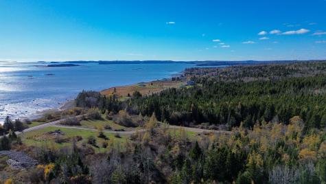 Lot 1 Holmes Bay Farm Whiting ME 04691