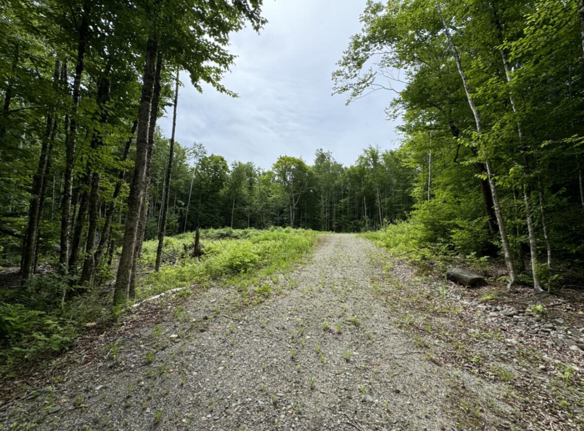 Lot Wa-9 Smith Cove Road Cathance Twp ME 04628