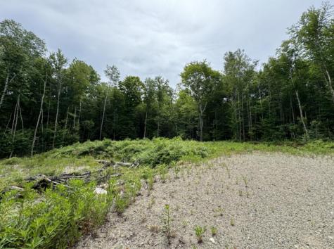 Lot Wa-9 Smith Cove Road Cathance Twp ME 04628