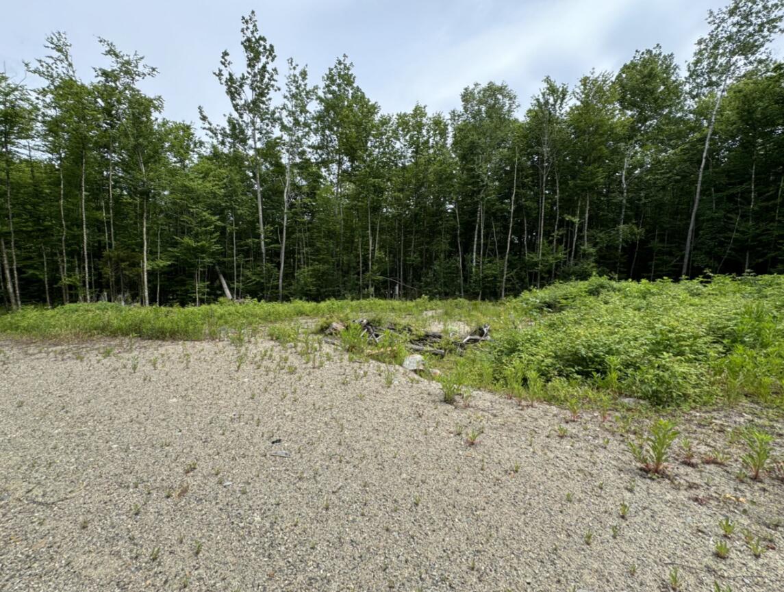 Lot Wa-9 Smith Cove Road Cathance Twp ME 04628