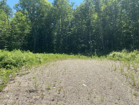 Lot Wa-9 Smith Cove Road Cathance Twp ME 04628