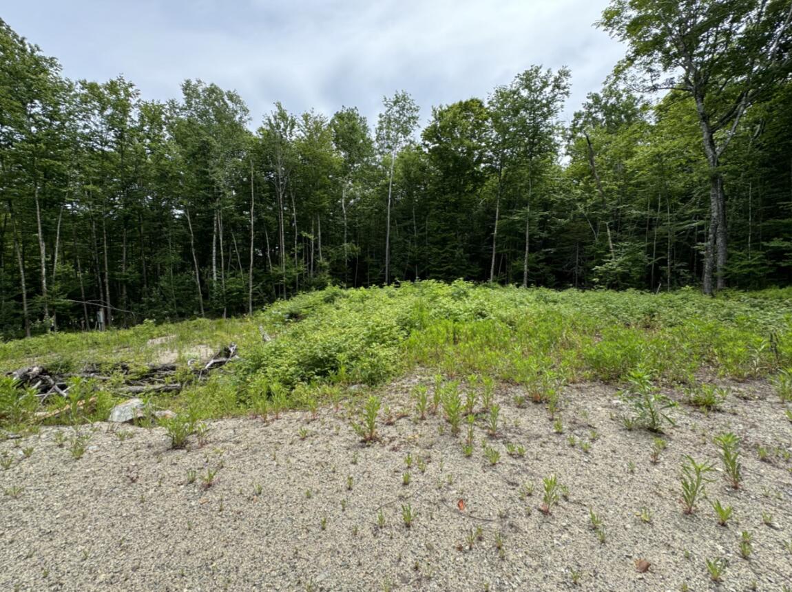 Lot Wa-9 Smith Cove Road Cathance Twp ME 04628