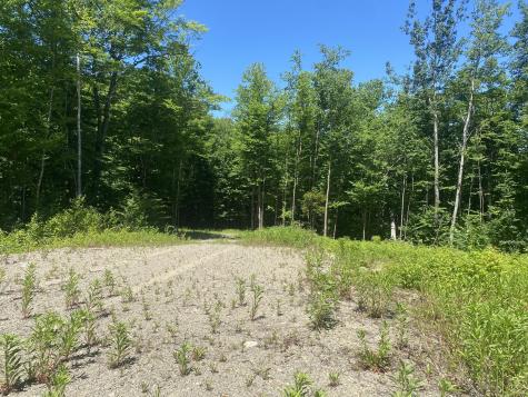 Lot Wa-9 Smith Cove Road Cathance Twp ME 04628