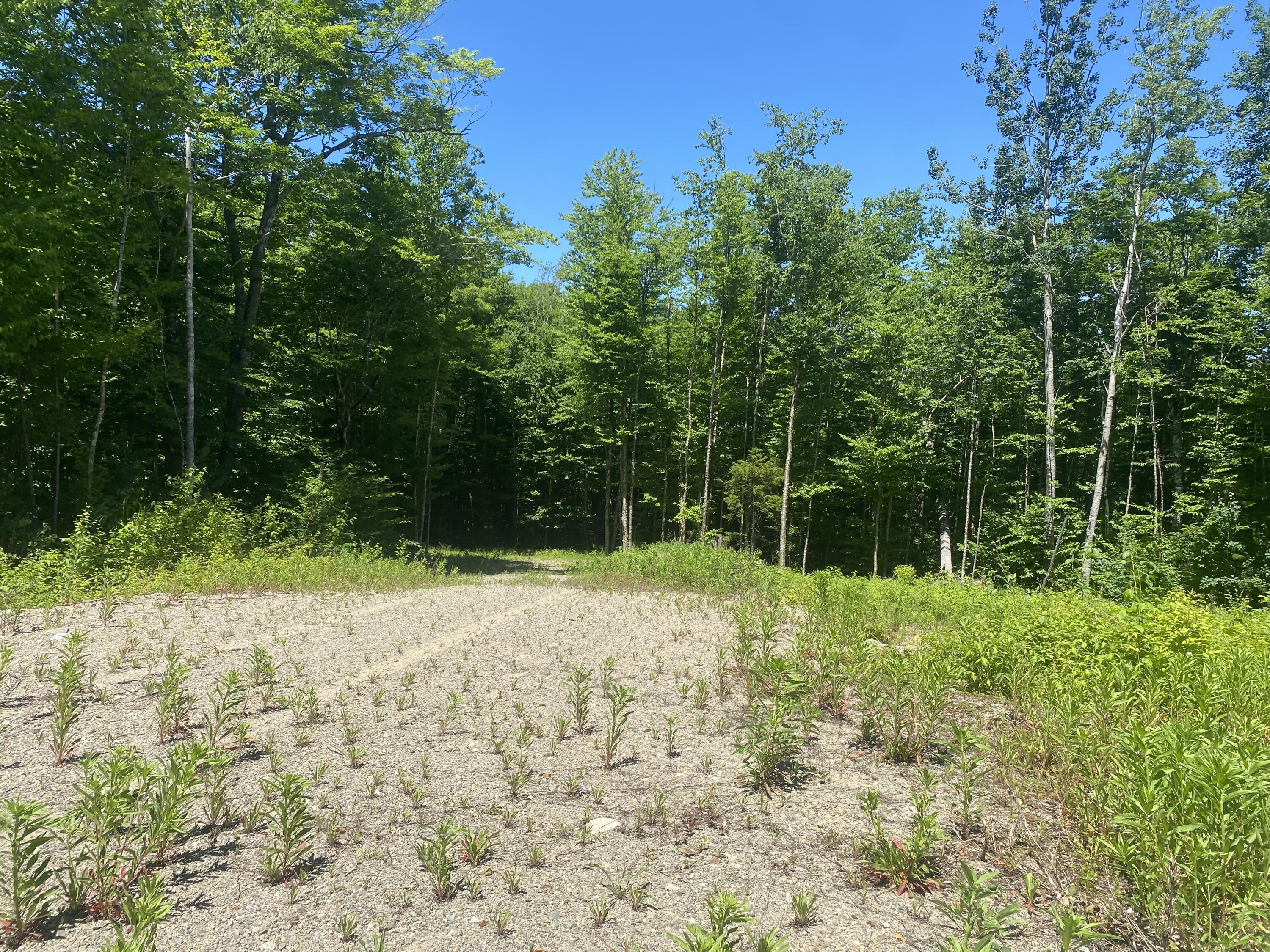 Lot Wa-9 Smith Cove Road Cathance Twp ME 04628