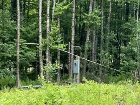 Lot Wa-9 Smith Cove Road Cathance Twp ME 04628