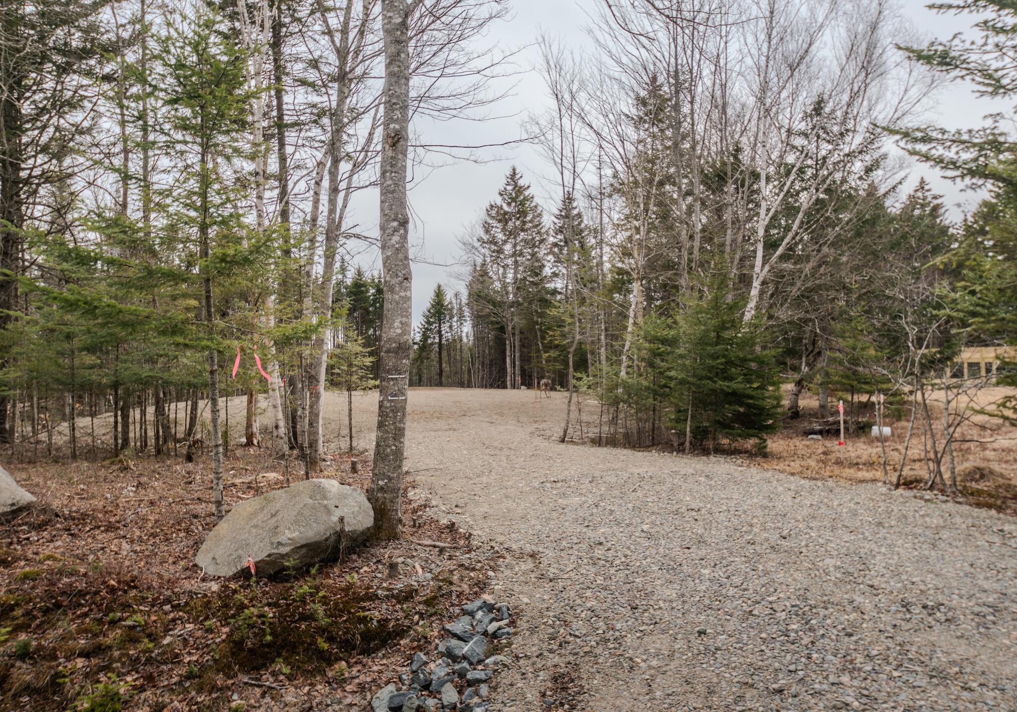 Lot #109B Stagecoach Road Marshfield ME 04654