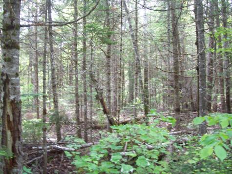3-24D Smith Road Macwahoc Plt ME 04451