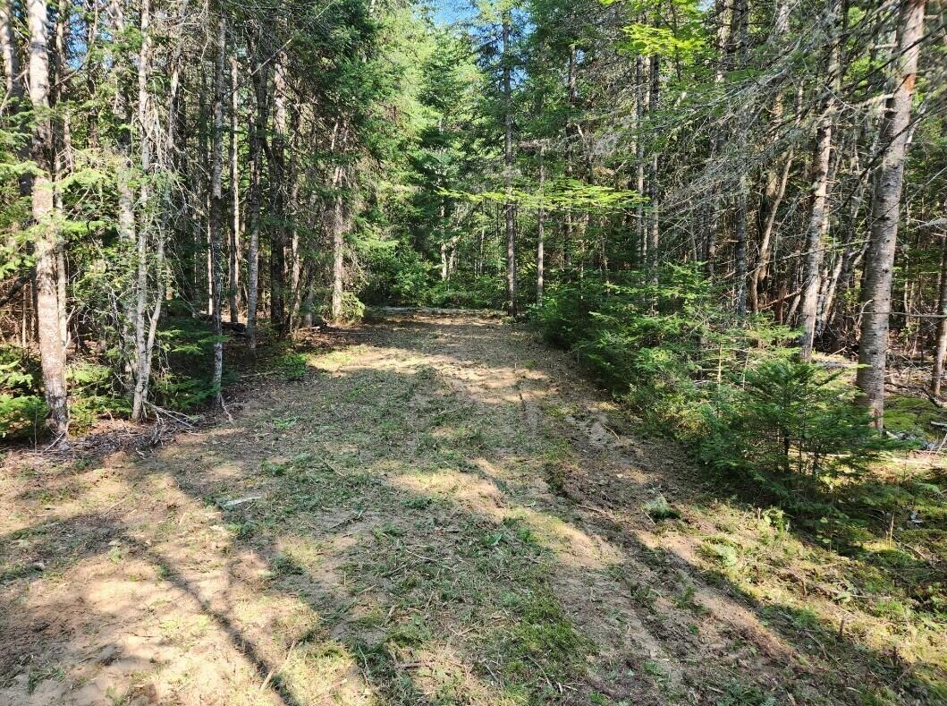 3-24D Smith Road Macwahoc Plt ME 04451