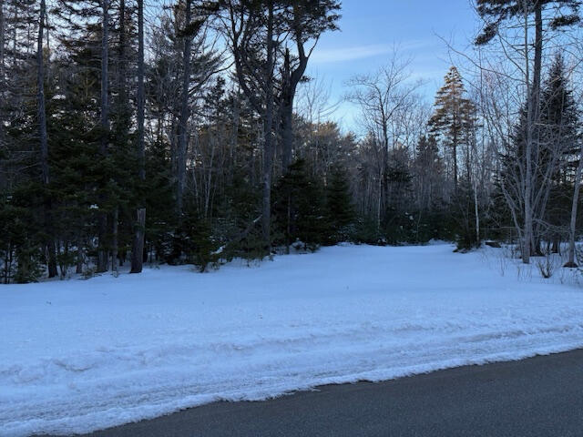 0 Heritage Drive Owls Head ME 04854