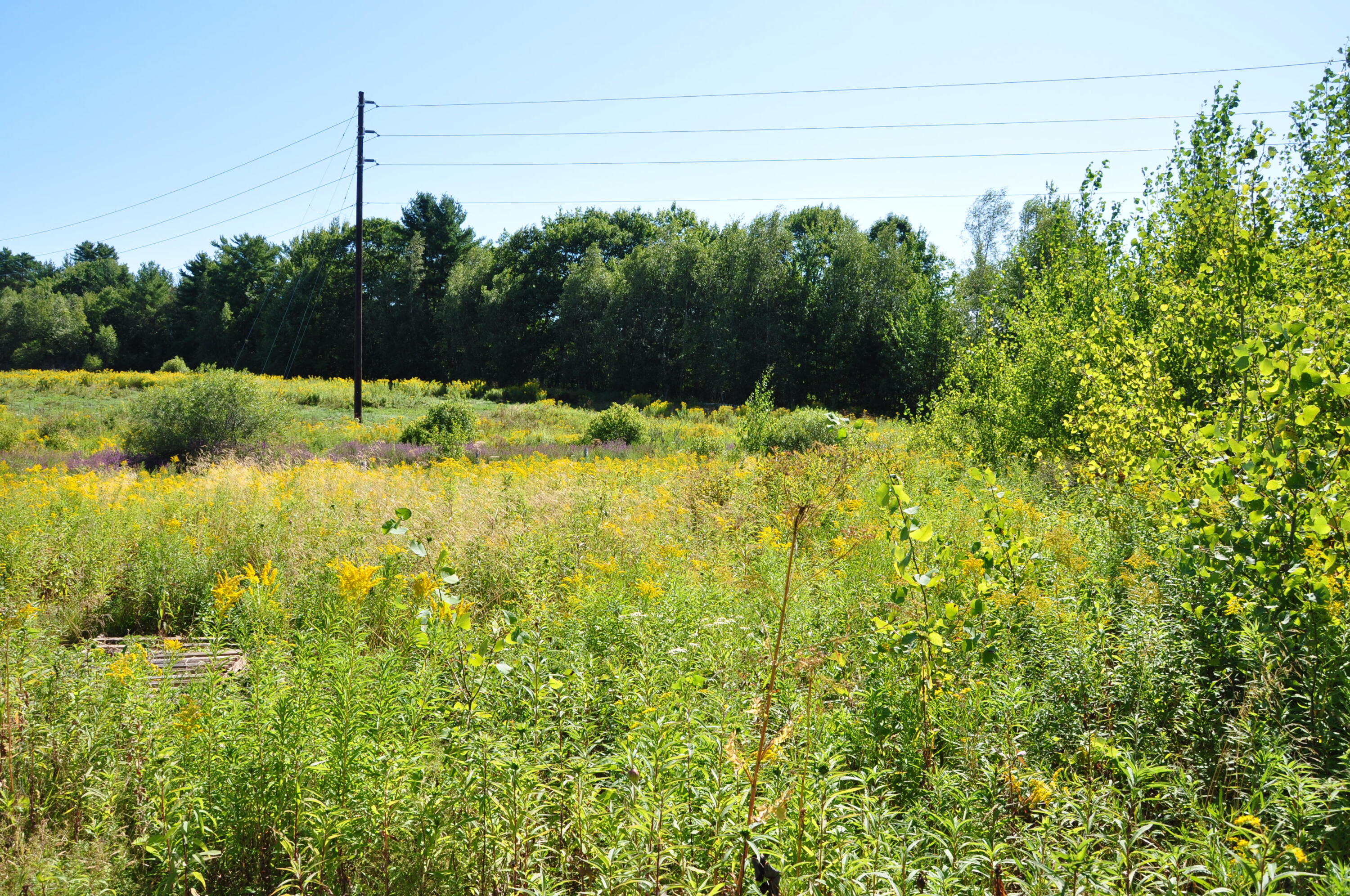 1765 Ohio Street Bangor ME 04401