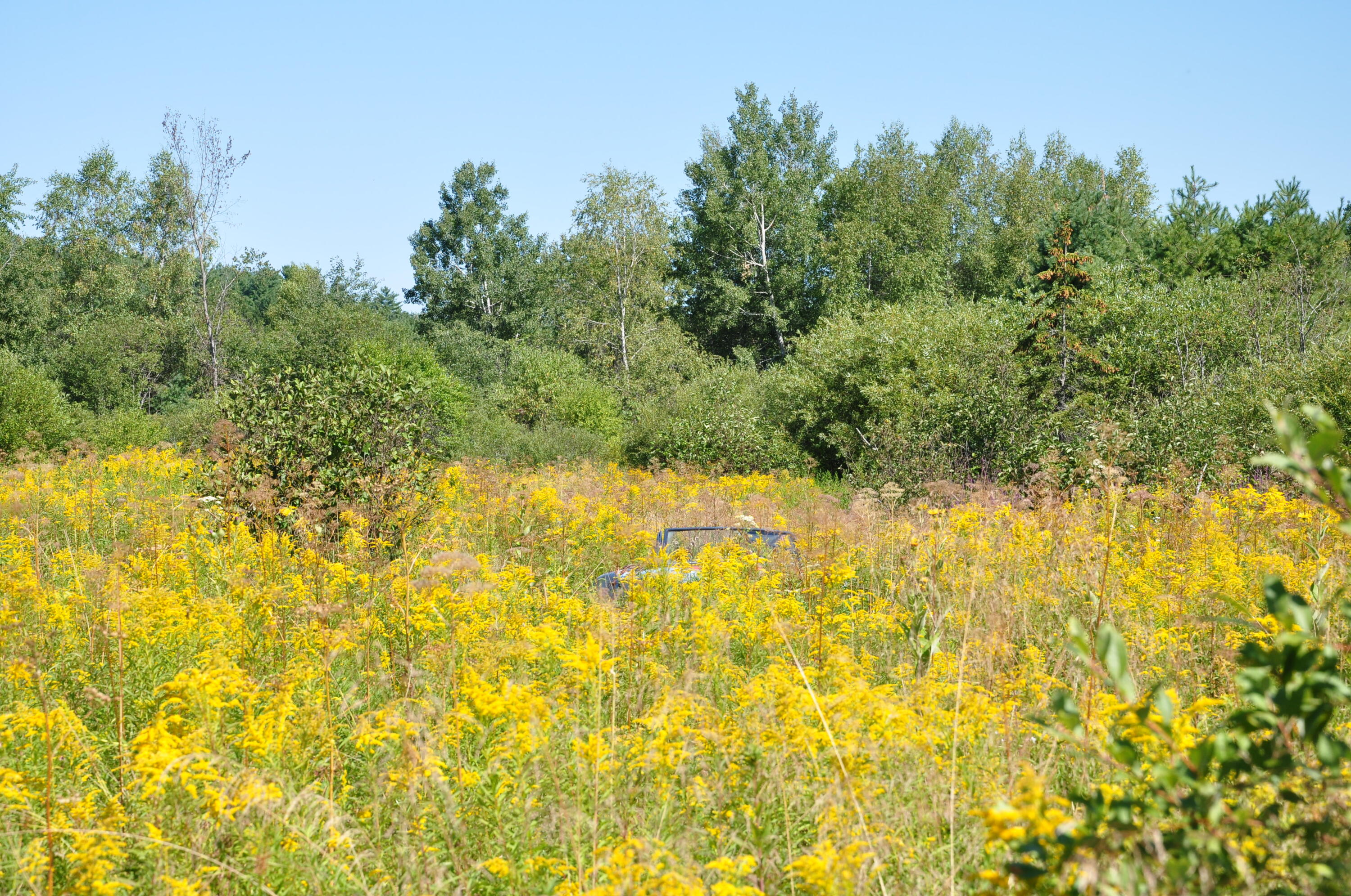 1765 Ohio Street Bangor ME 04401