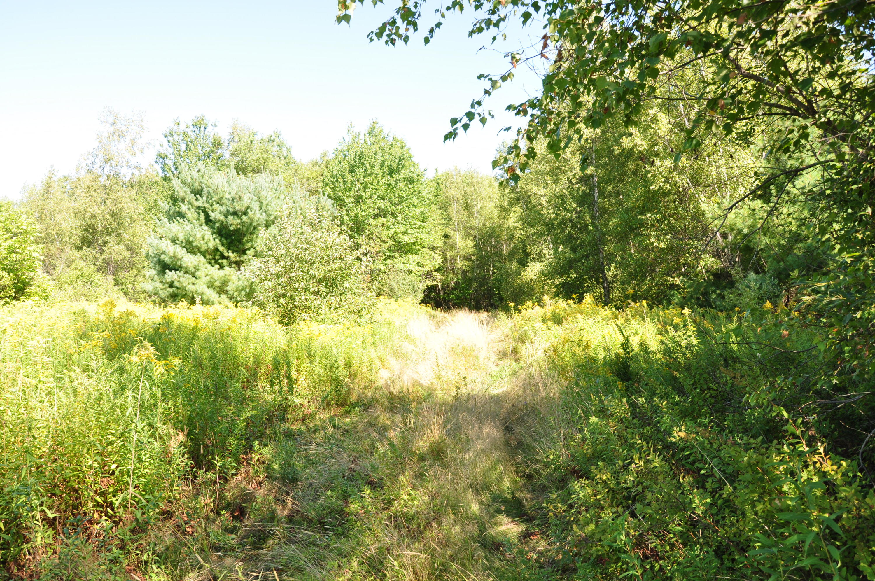 1765 Ohio Street Bangor ME 04401