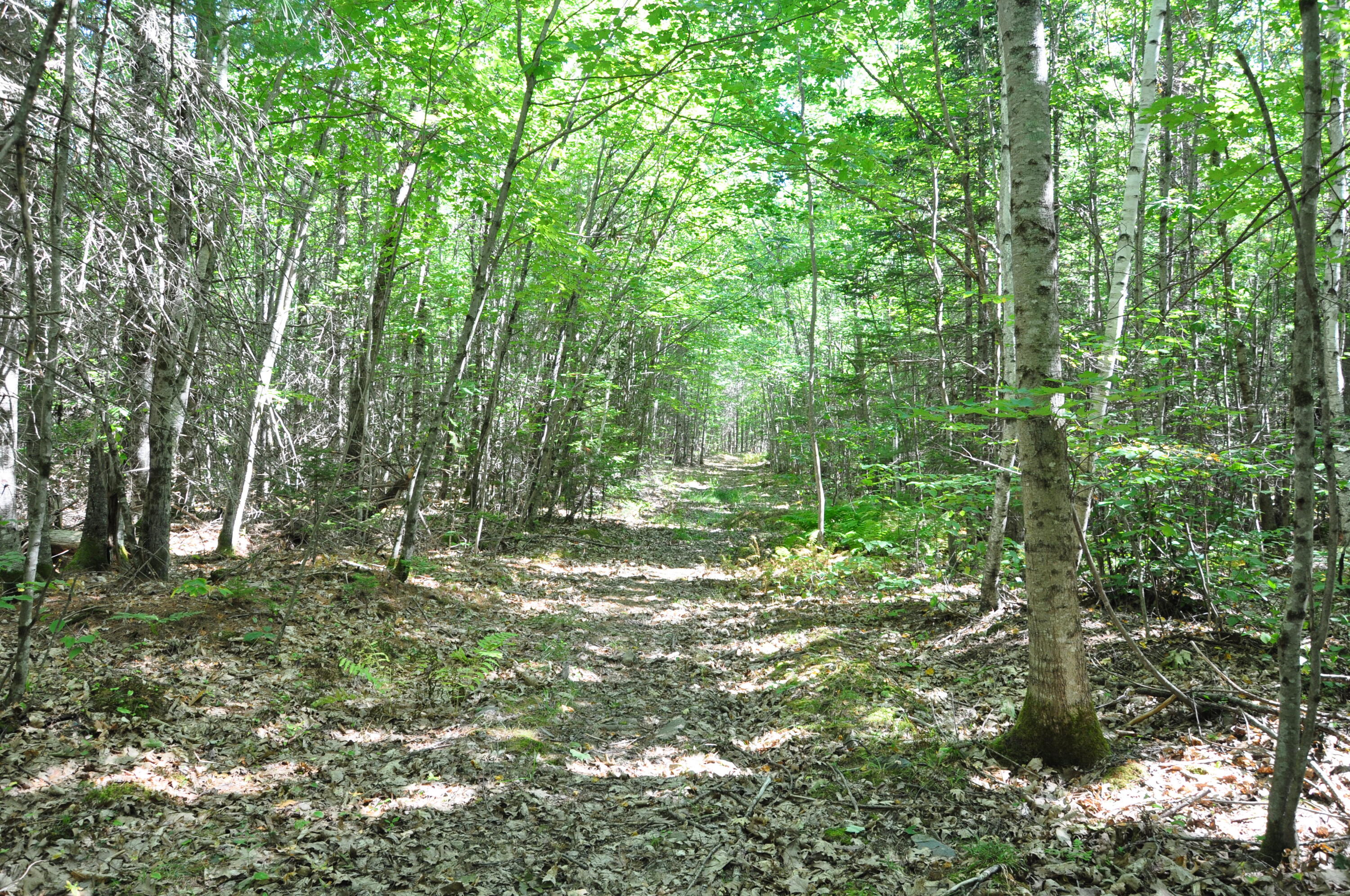 1765 Ohio Street Bangor ME 04401