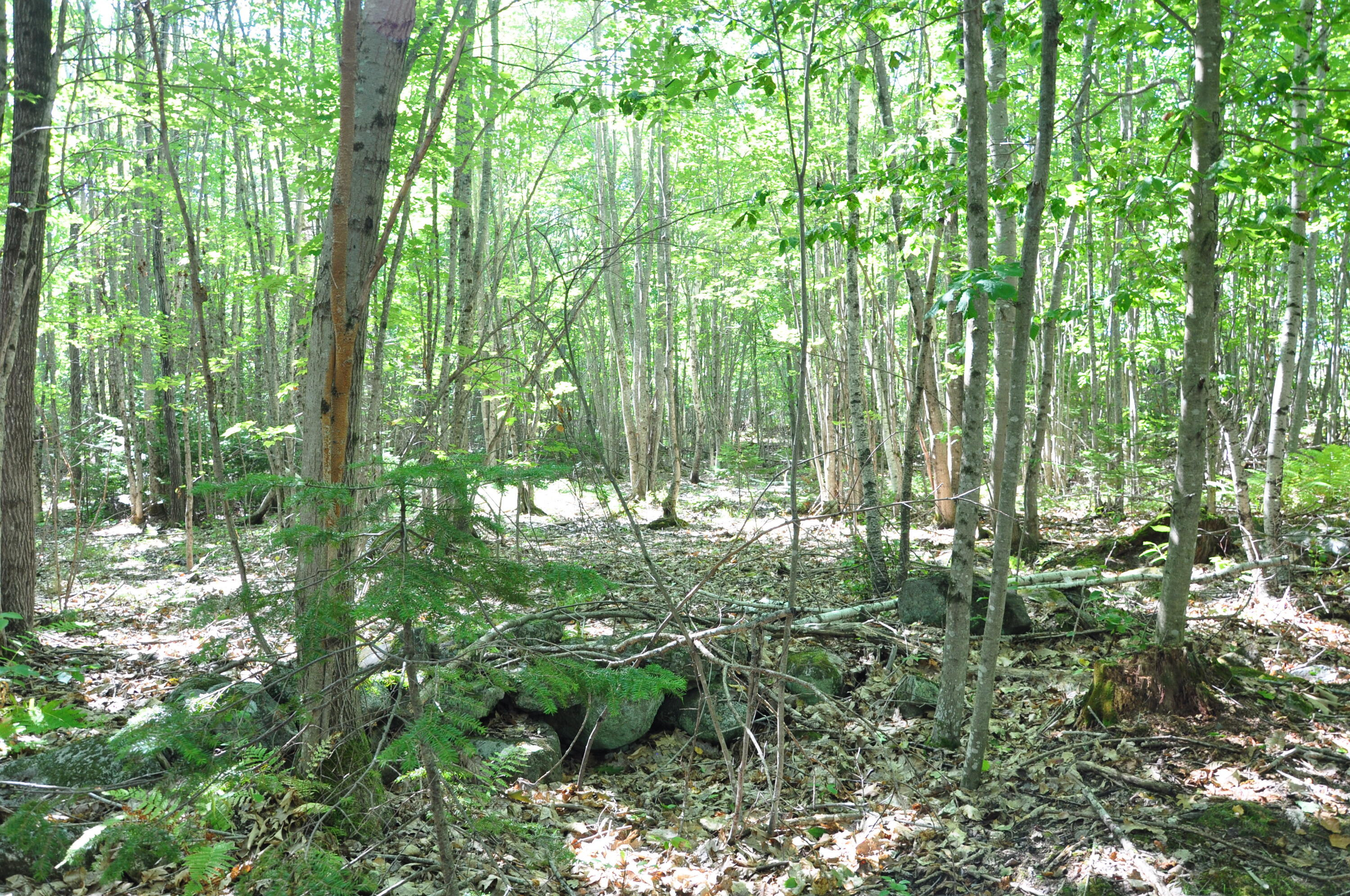 1765 Ohio Street Bangor ME 04401