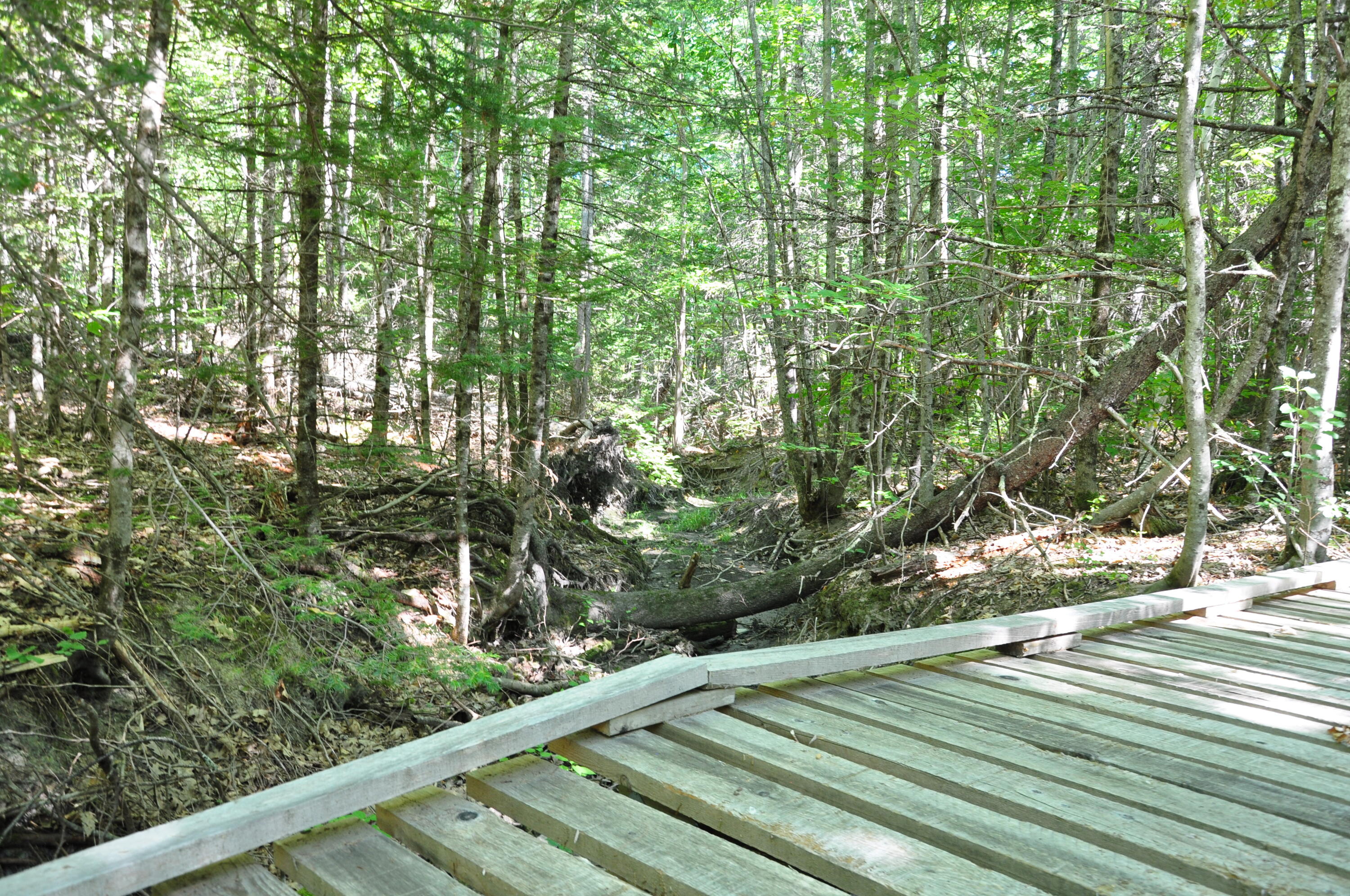 1765 Ohio Street Bangor ME 04401