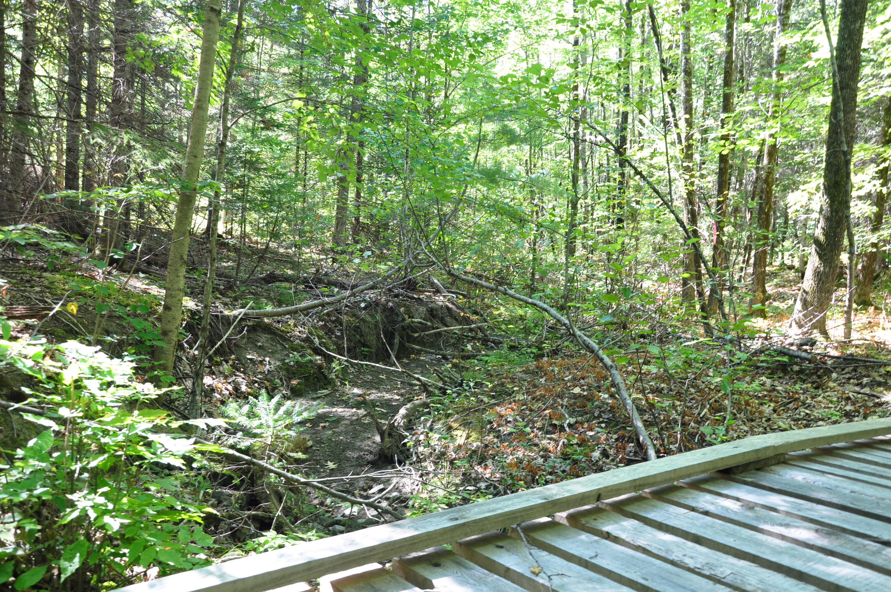 1765 Ohio Street Bangor ME 04401